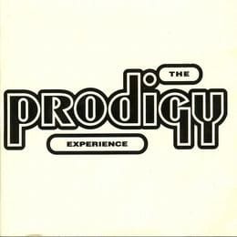 PRODIGY, THE - EXPERIENCE