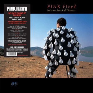 PINK FLOYD - DELICATE SOUND OF THUNDER