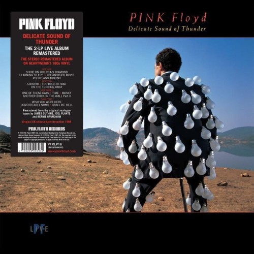 delicate-sound-of-thunder-b-iext51917299.jpg